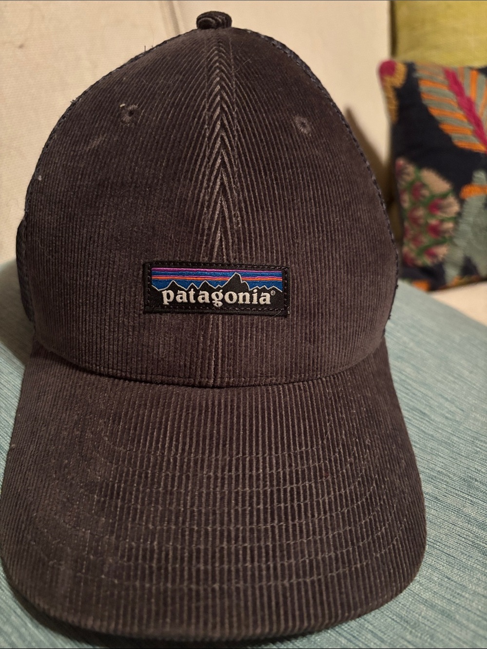 Patagonia Men's Forge Grey Corduroy Baseball Cap